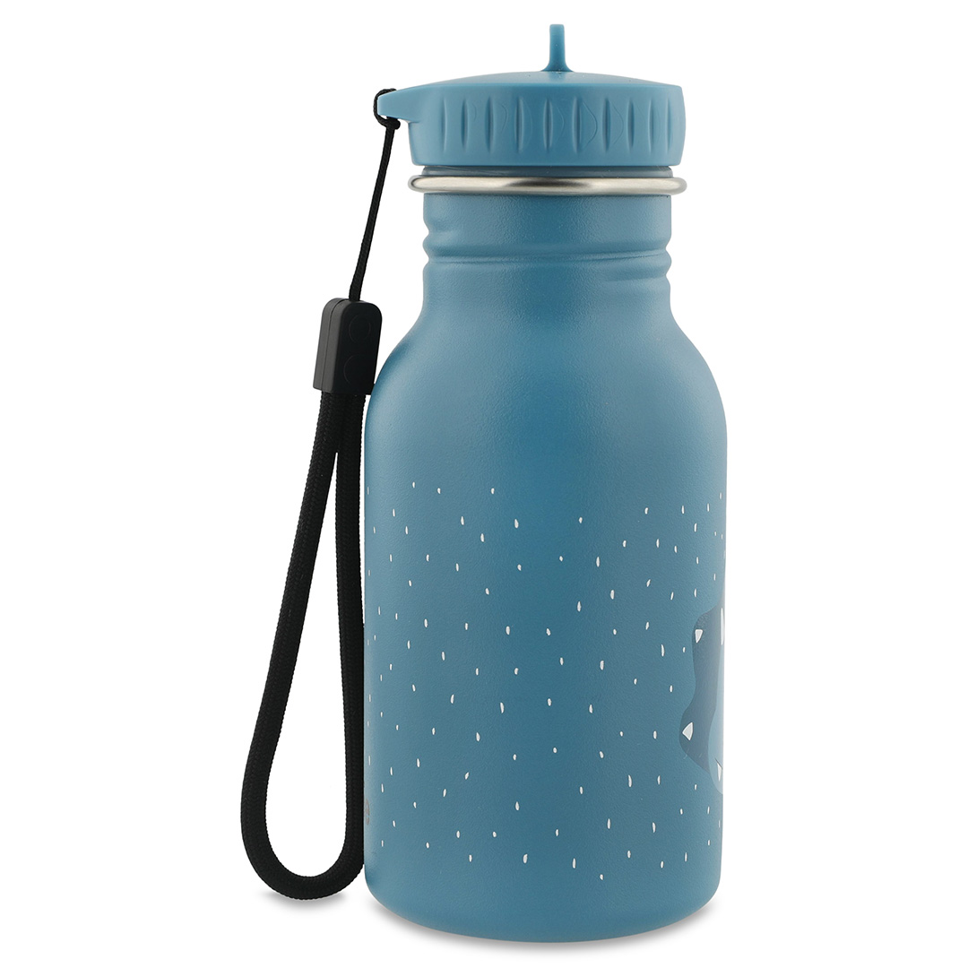 Trinkflasche 350ml - Mr. Triceratops